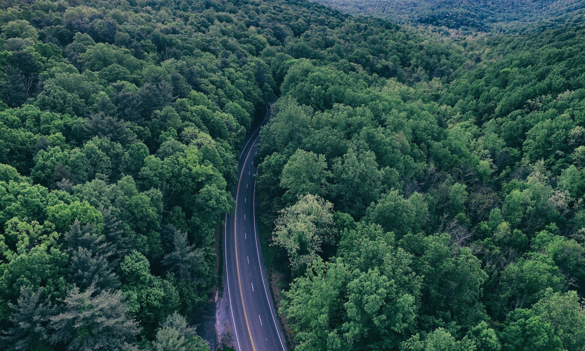 “Echoes of Time” – Documentary